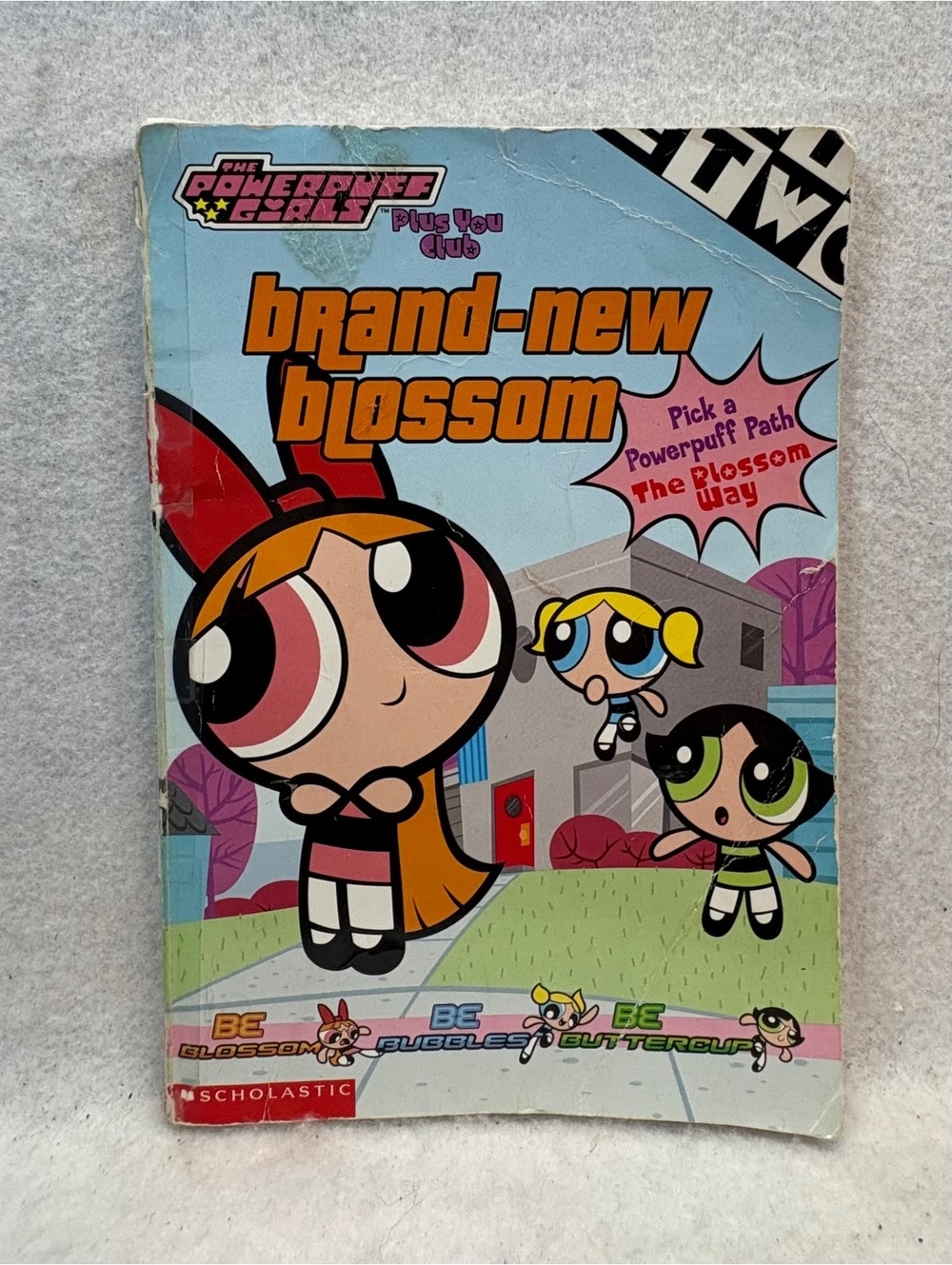 Powerpuff Girls Brand-New Blossom Pick a Path Book Scholastic 2002